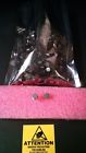 2n5415 Rca Transistor Pnp To39
