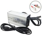 786738160925 Li Do Lithium Iron Battery Pack Charger