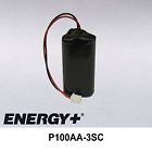 P100aa-3sc-3848 Fedco Utility Meter Battery For Schlumberger Neptune Advantage 640791394201