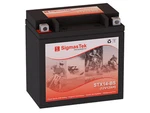 Power Sonic PTX14-BS Battery Replacement (200CCA). Fixed Price $43.99.
