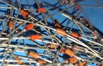 Diode Zener, 1N748A, Single 3.9V 5% 500MW 2-PIN DO-35 (approx 2000 Pcs). Fixed Price $75.00.