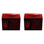 Medine Industries Gemini 12V 22AH Nut & Bolt Battery Byneptune - Pack. Fixed Price $95.95.